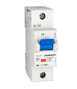 Hauptansicht neu Intreruptor automat C 100A. 1 p. 10kA